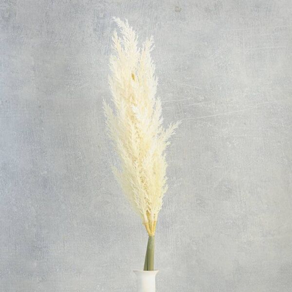 فرع ريش صتاعي - سكري - 12 قطعة