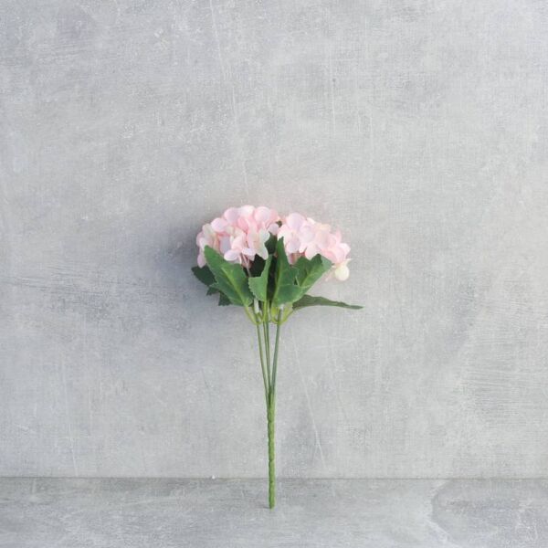 ورد هيدرنجا - وردي - 12 قطعة