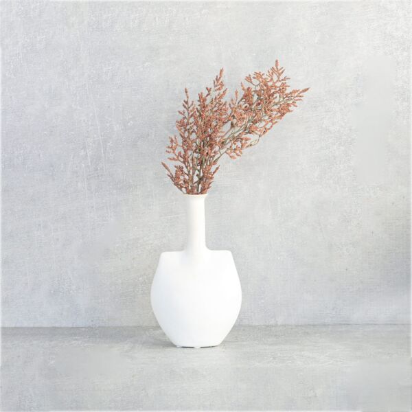 فرع نبتة شيح مكنسي - بني محمر - 12 قطعة