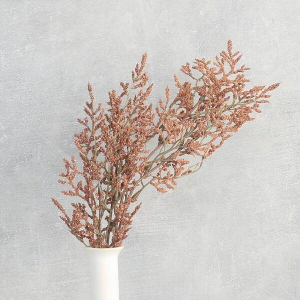 فرع نبتة شيح مكنسي - بني محمر - 12 قطعة