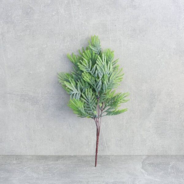 فرع نبتة أروكاريا - 12 قطعة