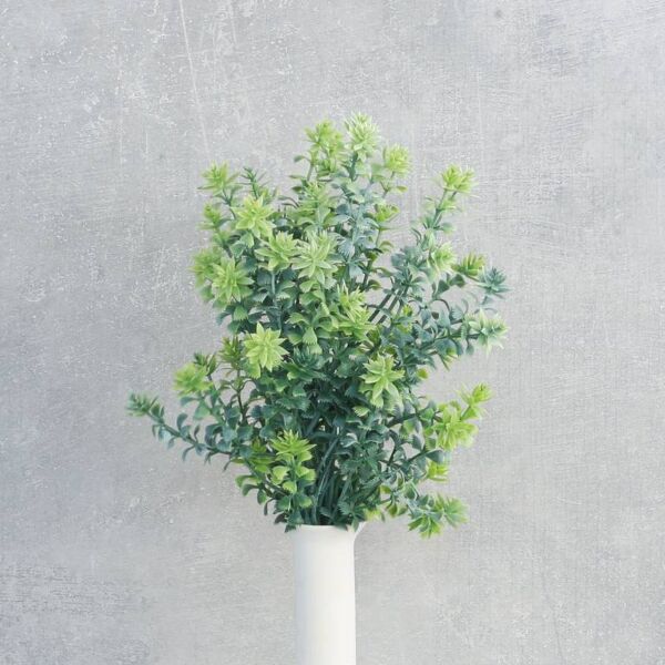 فرع نبتة سفندر - 12 قطعة