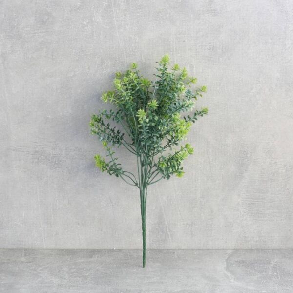 فرع نبتة سفندر - 12 قطعة