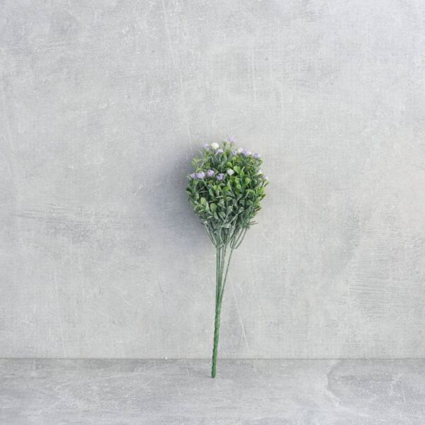 فرع نبتة كوفيا - 12 قطعة