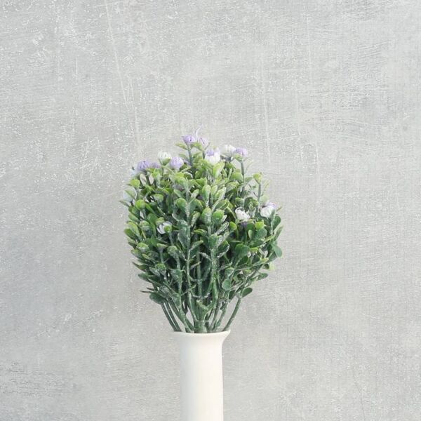 فرع نبتة كوفيا - 12 قطعة