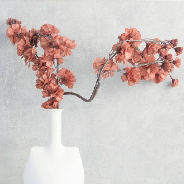 فرع زهور مانغوليا - بني محمر - 12 قطعة