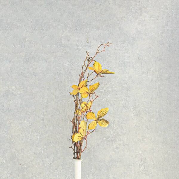 فرع شكل فراشات فلورنس - اصفر - 12 قطعة