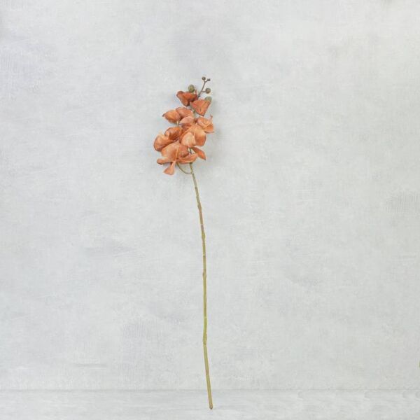 فرع زهرة أوركيد - برتقالي - 12 قطعة