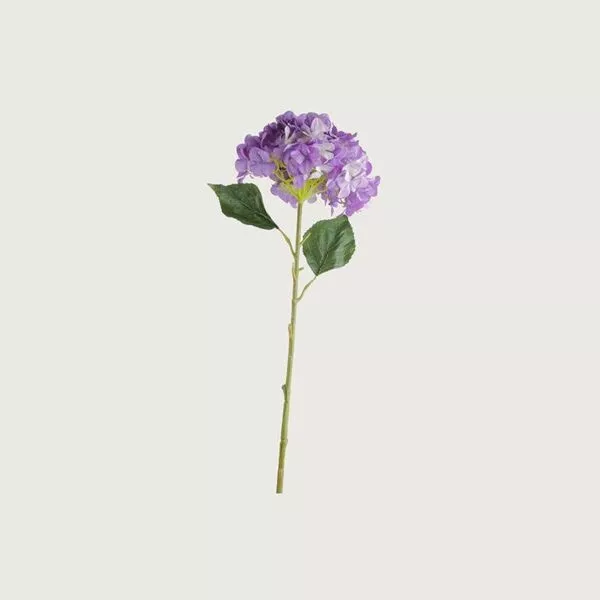غصن زهرة هيدرنجا - بنفسجي