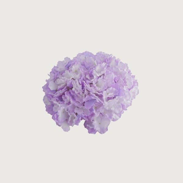 ورود هيدرنجا - بنفسجي - 12 قطعة