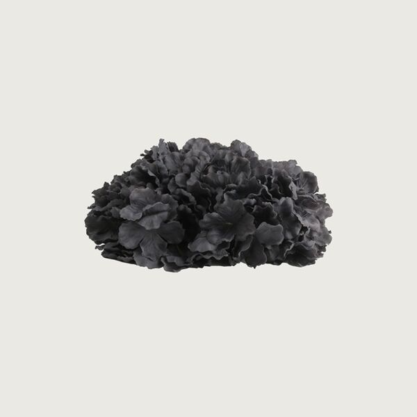 زهرة هيدرنجا - اسود - 12 قطعة