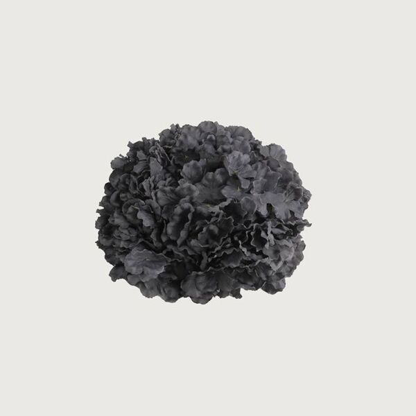 زهرة هيدرنجا - اسود - 12 قطعة