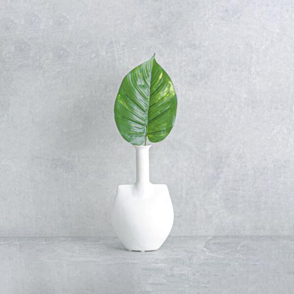 ورقة نبتة بوتس - 12 قطعة