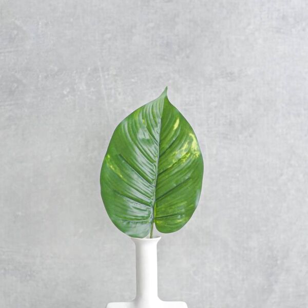 ورقة نبتة بوتس - 12 قطعة