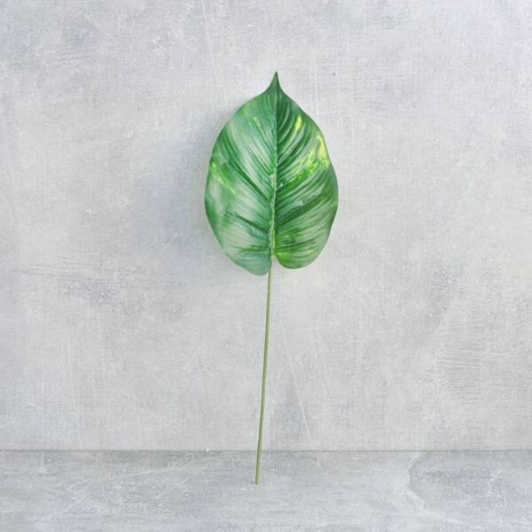 ورقة نبتة بوتس - 12 قطعة