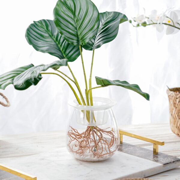 نبات صناعي هيما - اخضر ومتعدد الألوان