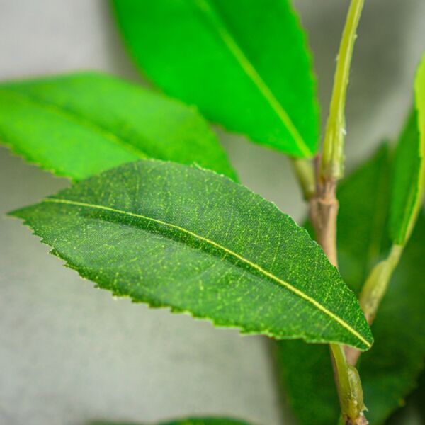 زهر صناعي لويزا - أخضر - 12 قطعة