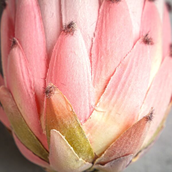 زهر صناعي كيرا - وردي فاتح - 12 قطعة