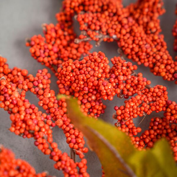 زهر صناعي لوسيل - بني - 12 قطعة