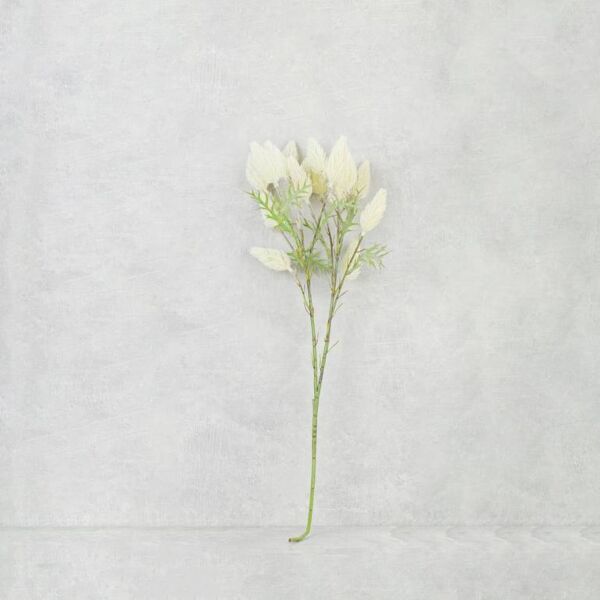 فرع نبتة الحلفا - 12 قطعة