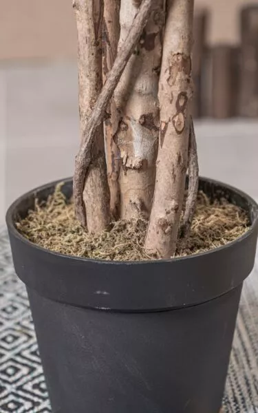 نبات صناعي سرخسي - اخضر