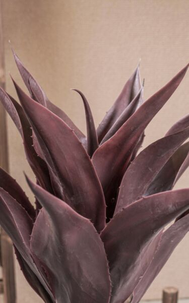 نبات صناعي غريتا