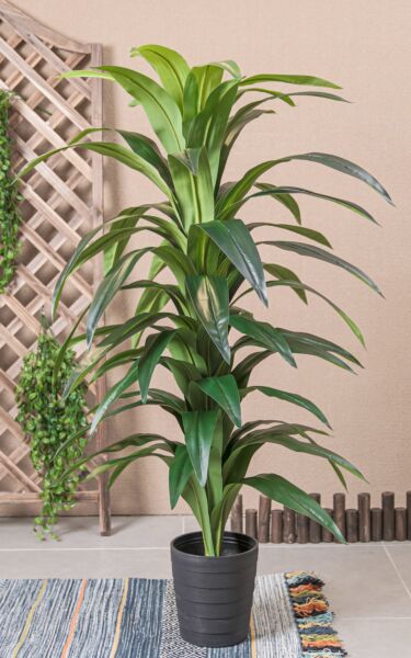 نبات صناعي فيكس - اخضر