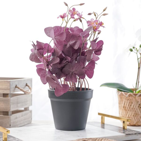 نبات صناعي فلارا - موف واسود - 12 قطعة