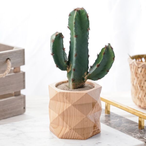 نبات صناعي رويكا - خربزي وأخضر - 12 قطعة