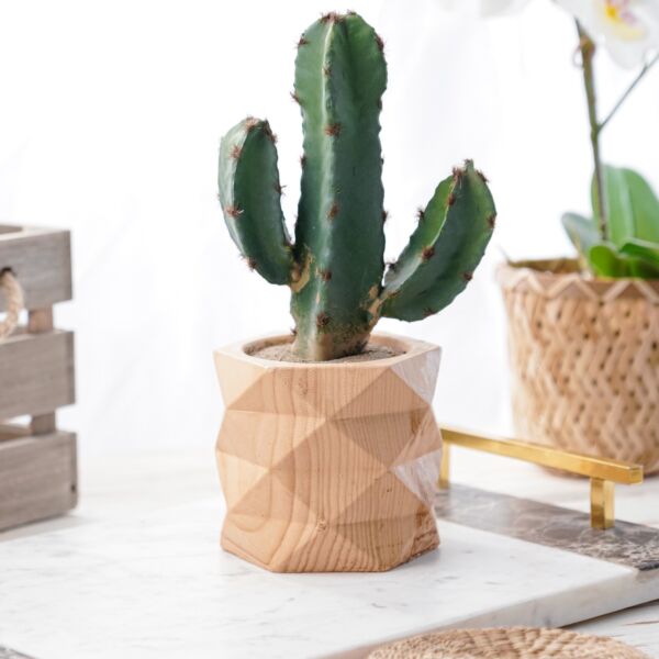 نبات صناعي رويكا - خربزي وأخضر - 12 قطعة