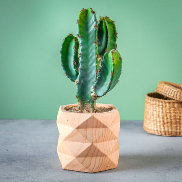 نبات صناعي رويكا - خربزي وأخضر - 12 قطعة