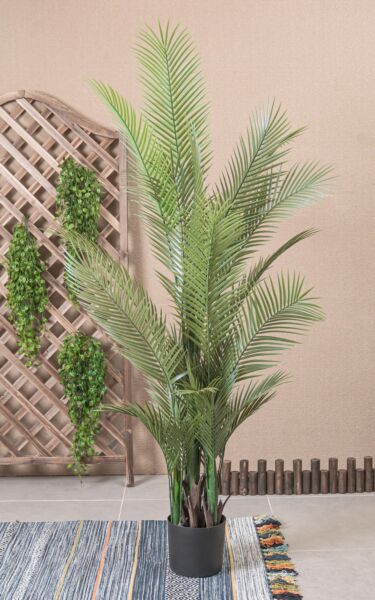 نبات صناعي تشاما - اخضر