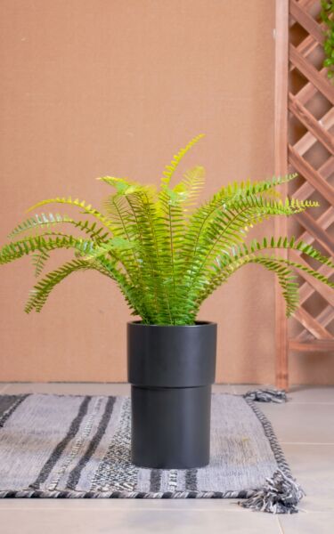 نبات صناعي فيفديل