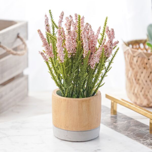 نبات صناعي زيال - متعدد الألوان - 12 قطعة