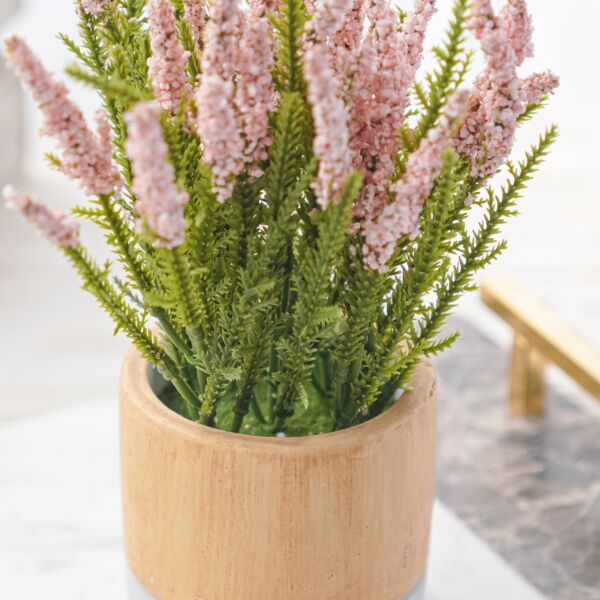 نبات صناعي زيال - متعدد الألوان - 12 قطعة