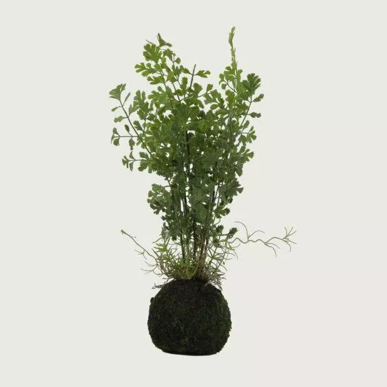 نبات صناعي بقدونس بكرة-اخضر         