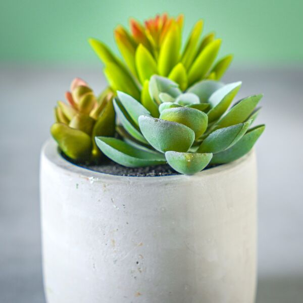 نبات صناعي ميتسا - رمادي وأخضر - 12 قطعة