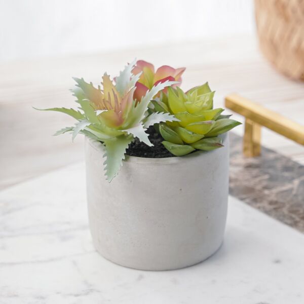 نبات صناعي كوزيت - رمادي ومتعدد الألوان - 12 قطعة