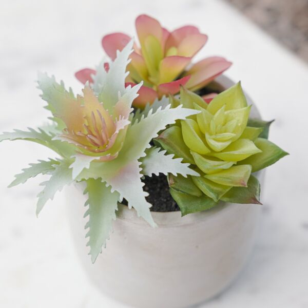 نبات صناعي كوزيت - رمادي ومتعدد الألوان - 12 قطعة