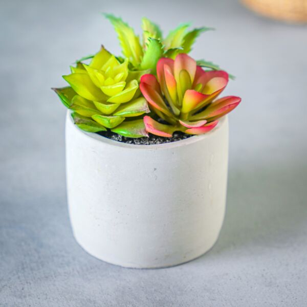 نبات صناعي كوزيت - رمادي ومتعدد الألوان - 12 قطعة