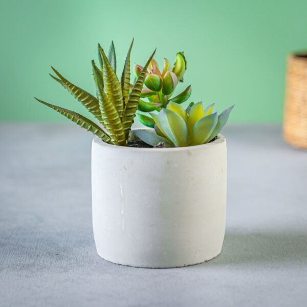 نبات صناعي ايزيت - رمادي ومتعدد الألوان - 12 قطعة