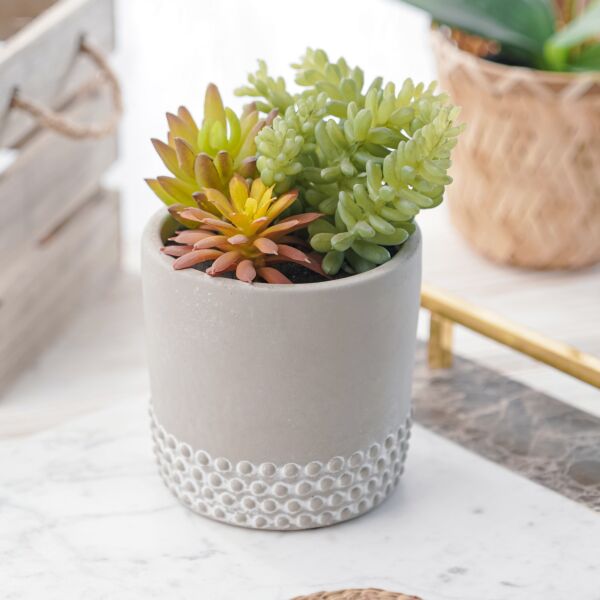 نبات صناعي يامي - متعدد الألوان - 12 قطعة