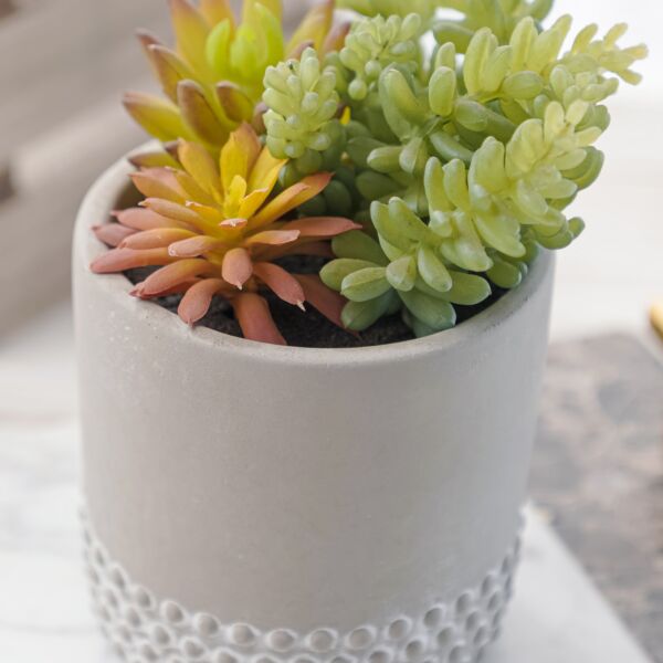 نبات صناعي يامي - متعدد الألوان - 12 قطعة