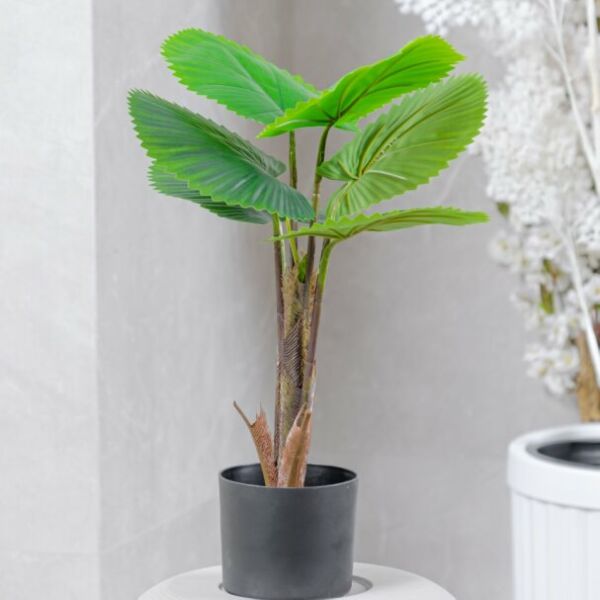 شجرة صناعية جازولا -  أخضر ومتعدد الالوان