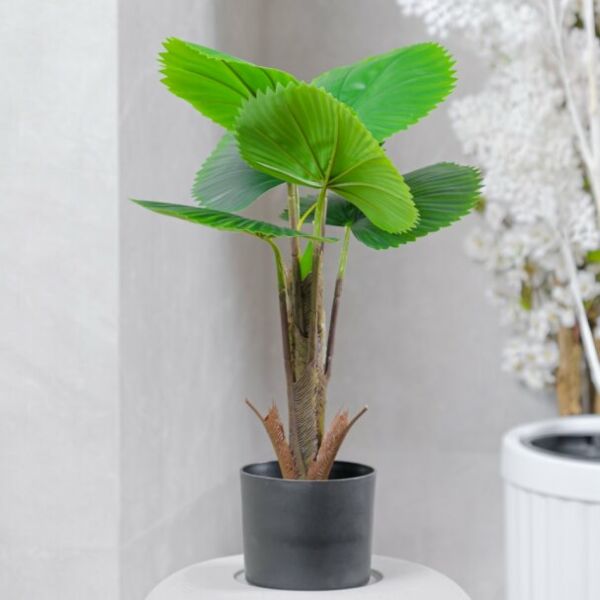 شجرة صناعية جازولا -  أخضر ومتعدد الالوان