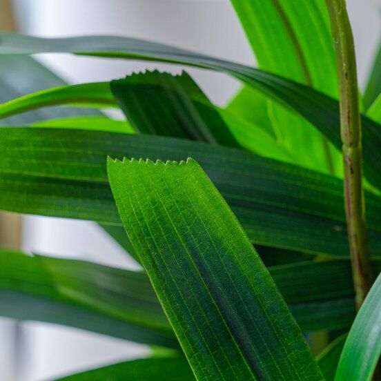 شجرة صناعية كيرا - اخضر وبني