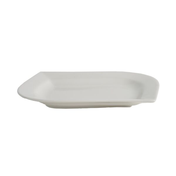 طبق طعام فان