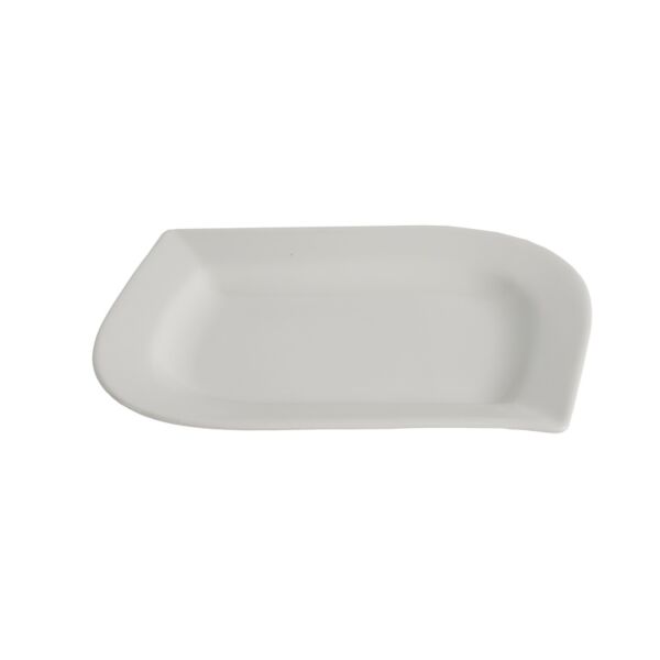 طبق طعام فان