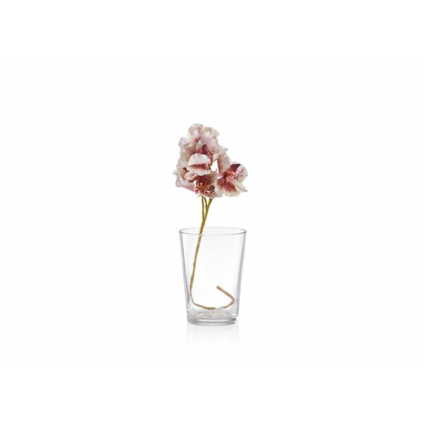 baytonia_main product photo