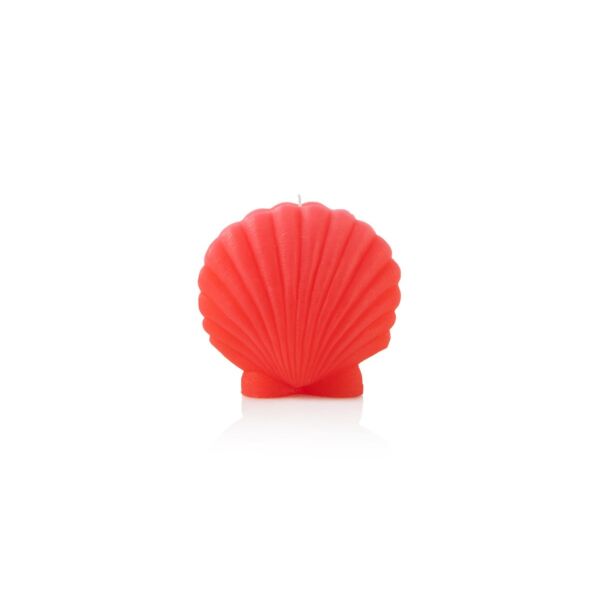 baytonia_main product photo